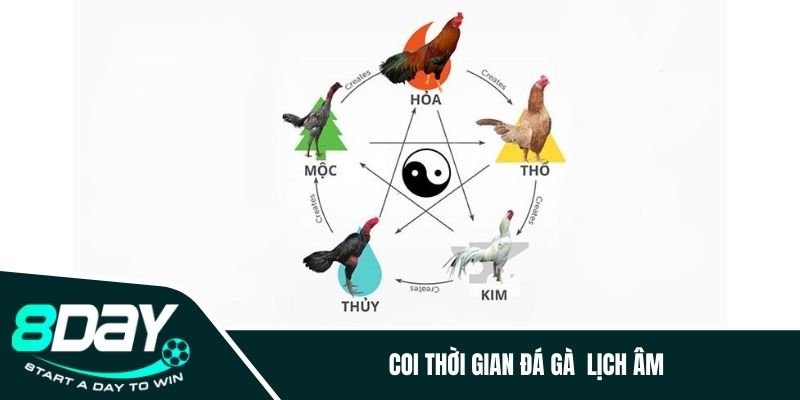 Coi thời gian đá gà  lịch âm 