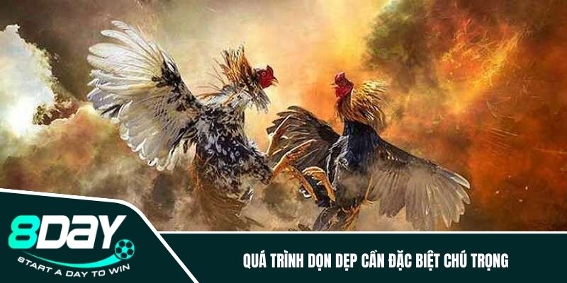 Quá trình dọn dẹp cần đặc biệt chú trọng