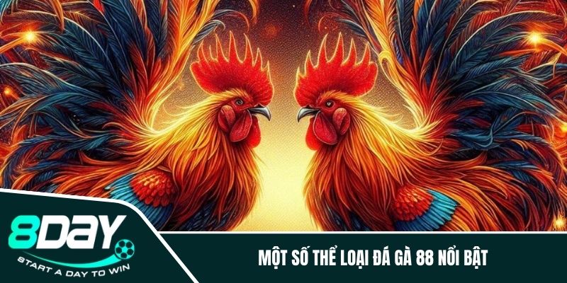 Một số thể loại đá gà 88 nổi bật