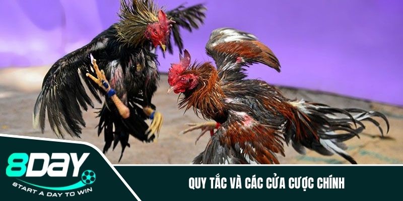 Quy tắc và các cửa cược chính