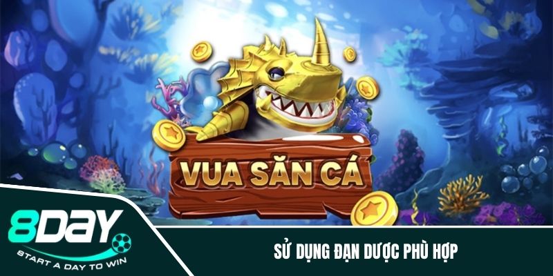 Sử dụng đạn dược phù hợp 